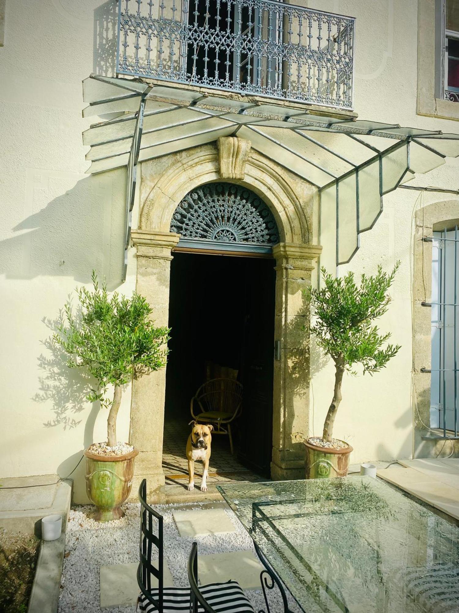 Hotel Le Jardin à Aspiran Extérieur photo